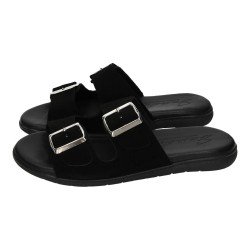 M556-H5037 Sanadalia de...